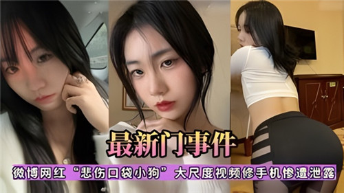 网传微博网红悲伤口袋小狗大尺度视频修手机惨遭泄露 — 2025